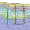 Handling natural complexity in three-dimensional geomechanical restoration, with application to the recent evolution of the outer fold and thrust belt, deep-water Niger Delta