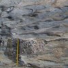 A transition from carbonate shelf to pelagic basin environments of deposition: Rifting and depositional systems in the Jurassic of northeastern Tunisia