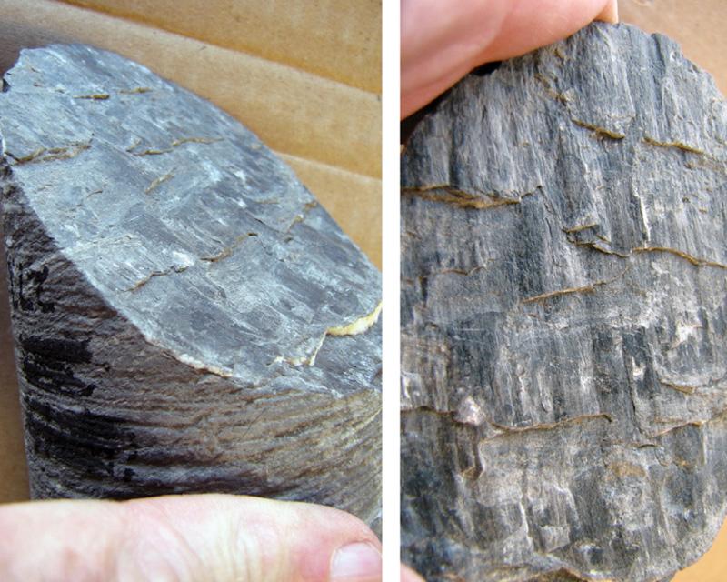 Two views of slickencrysts along an intermediate-angle, dip-slip shear fracture in a muddy shale. The missing block in both photos moved downward with a sense of normal shear as indicated by both bedding offset and the asymmetry of the steps developed in the calcite. Vertical 2-inch diameter core; uphole is towards the top in both photos.
