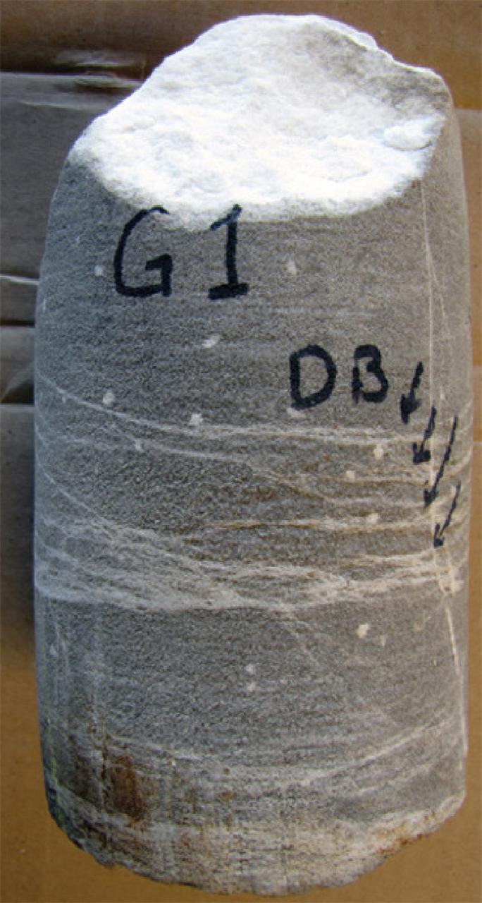Deformation bands (white horizontal bands at the arrowheads) in a high‐porosity, poorly bedded marine sandstone. The sandstone is white as indicated by the fresh break at the top of the core. The core surface has been stained gray by drilling mud except along the low-permeability/low-porosity deformation bands. Vertical, 4-inch diameter core; uphole is towards the top of the photo.
