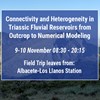 Connectivity and Heterogeneity in Triassic Fluvial Reservoirs from Outcrop to Numerical Modeling