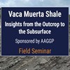 Vaca Muerta Shale: Insights from the Outcrop to the Subsurface
