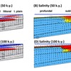Geothermal convection in South Atlantic subsalt lacustrine carbonates: Developing diagenesis and reservoir quality predictive concepts with reactive transport models