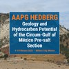 Geology and Hydrocarbon Potential of the Circum-Gulf of Mexico Pre-salt Section