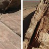 Insight into petrophysical properties of deformed sandstone reservoirs