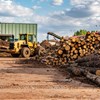 Is Biomass a Blessing or a Boondoggle?