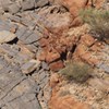 Linking process, dimension, texture, and geochemistry in dolomite geobodies: A case study from Wadi Mistal (northern Oman)