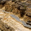 Green River Shales: Geochemical Basin Study