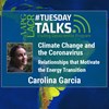 Climate Change and the Coronavirus: Relationships that Motiviate the Energy Transition - Spanish Talk