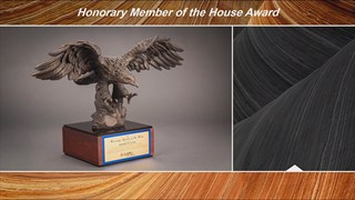 AAPG HoD Honorary Member Awards at ACE2018