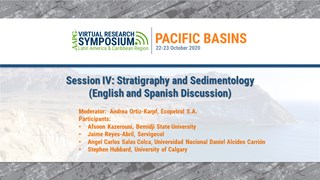 Session IV: Stratigraphy and Sedimentology (English and Spanish Discussion)