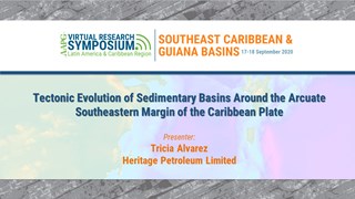 Tectonic Evolution of Sedimentary Basins Around the Arcuate Southeastern Margin of the Caribbean Plate