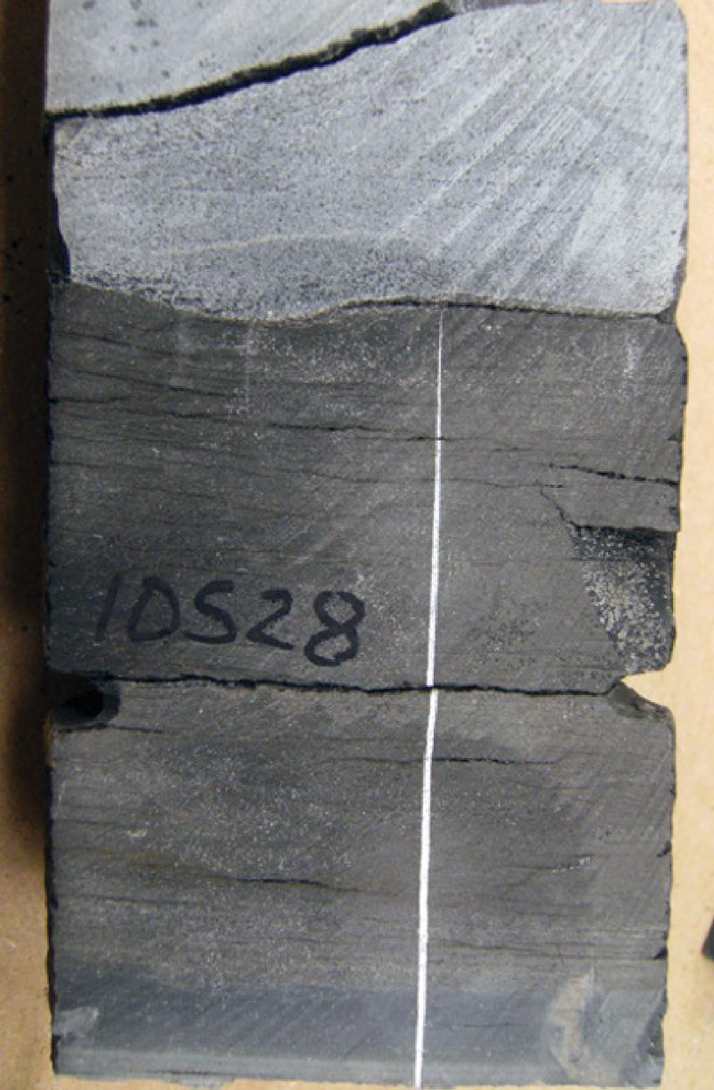 Mechanical properties can change over geologic time due to diagenesis and changes in pore pressures. Some clay-rich lithologies that are presently relatively ductile were, under different conditions, the more fracture-prone strata in a heterogeneous sequence. In this example, a calcite-mineralized vertical extension fracture in a shale tapers towards its termination against a limestone layer. At the time of fracturing, the shale was more susceptible to fracturing than the limestone. Slab from a vertical three‐inch diameter core, uphole is towards the top of the photo.
