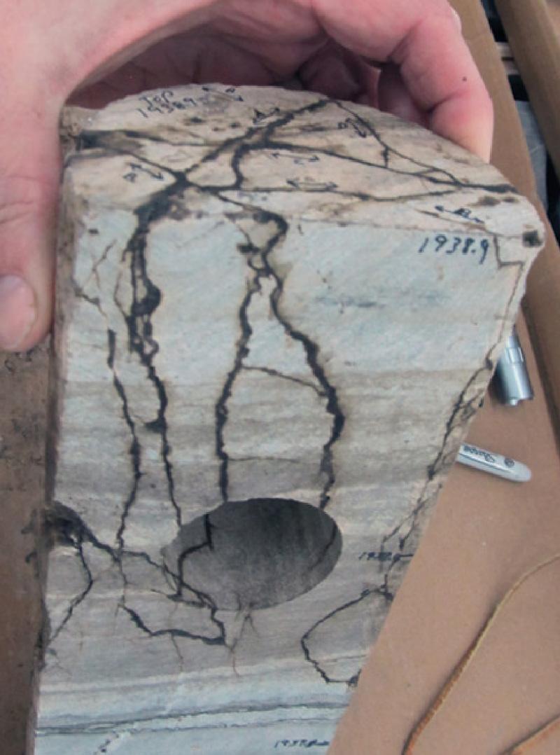 Irregular, oil-filled, high-angle extension fractures in a bedded limestone. Vertical four-inch diameter core; uphole is towards the top of the photo.