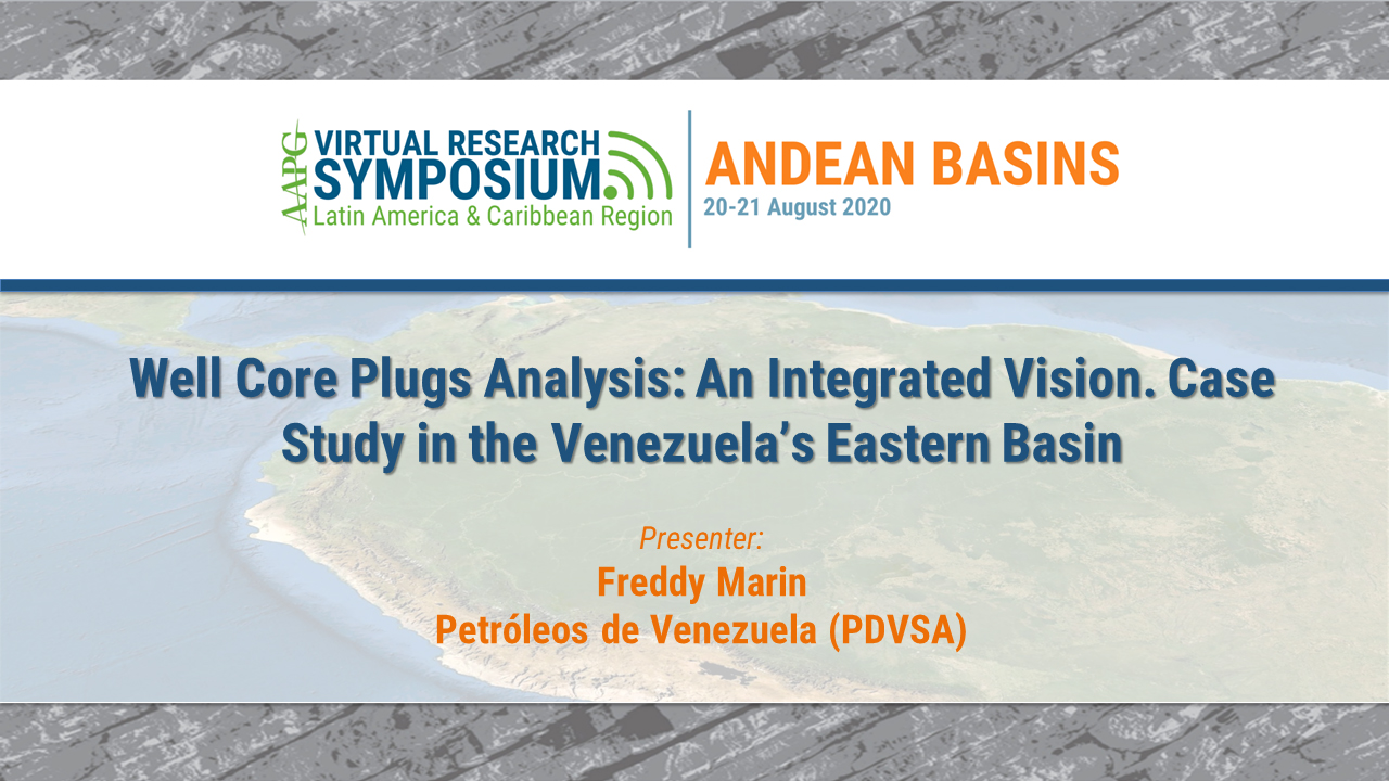 Well Core Plugs Analysis: An Integrated Vision. Case Study in the Venezuela’s Eastern Basin