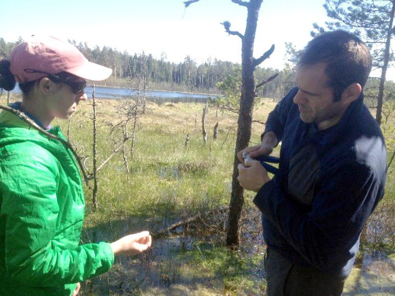 Studying the biogeochemistry of peatlands in the Baltic region with Kristyn Hill (M.S. 2016).