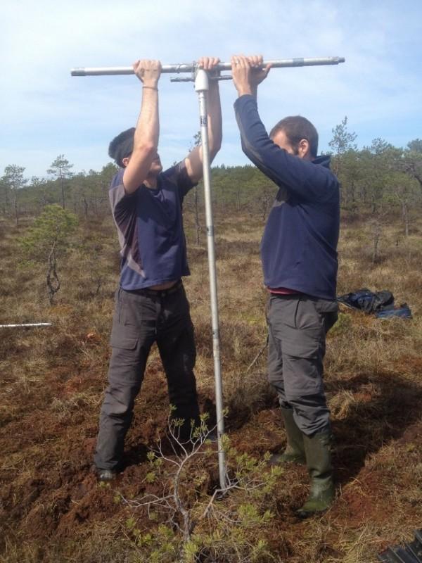 Collecting peat cores in the Baltic region.