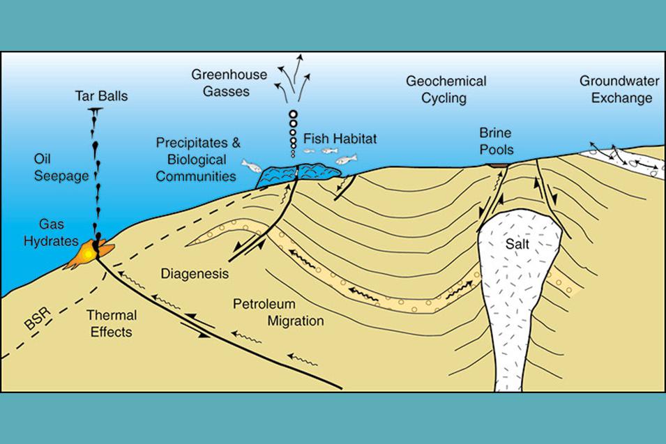 Seeps Give a Peek Into Plumbing