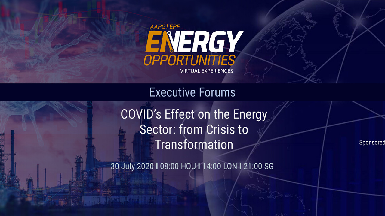COVID's Effect on the Energy Sector: From Crisis to Transformation