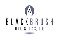 BlackBrush Oil & Gas, LP