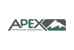 APEX Petroleum Engineering