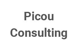 Picou Consulting