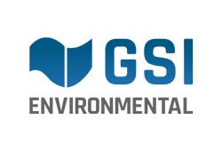 GSI Environmental Inc. 